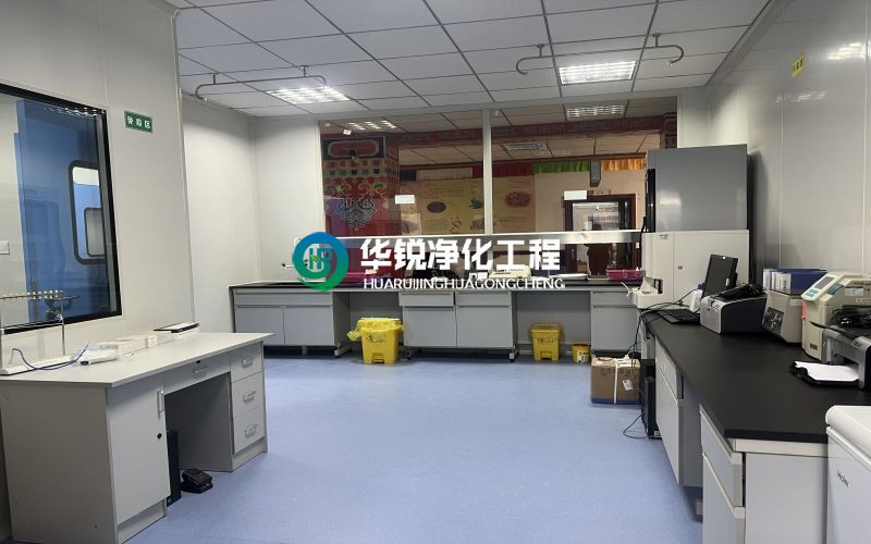 三级黄线在线免费观看 细胞实验室装修施工
